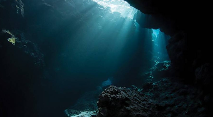 فك لغز صوت غامض من أعماق برمودا