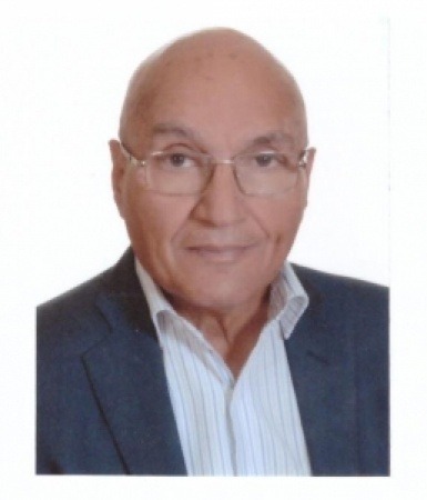 محمد مناور العبادي