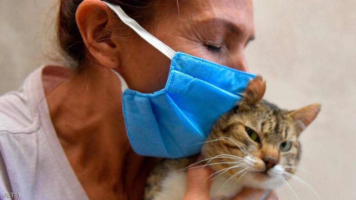 الكلاب أم القطط .. ما الحيوان الذي ينقل كورونا إلى الإنسان؟