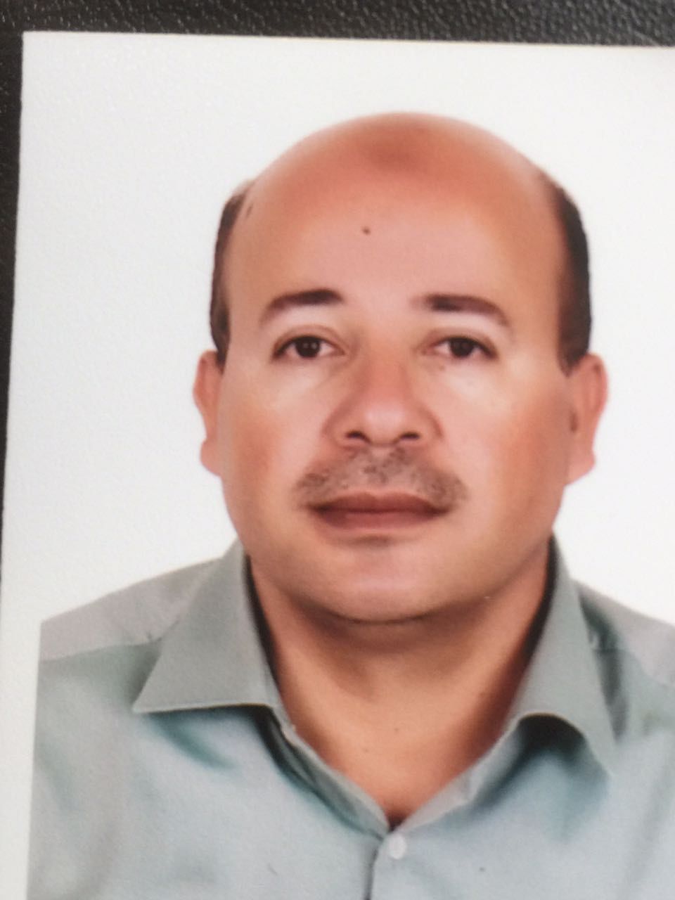 تحديث المنظومة السياسية