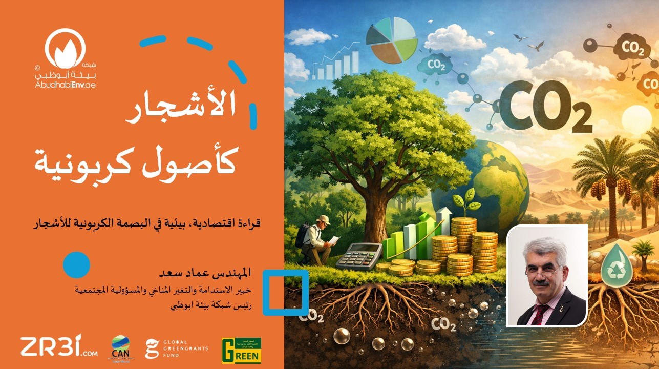 عماد سعد: الأشجار أصول اقتصادية صاعدة في معركة المناخ