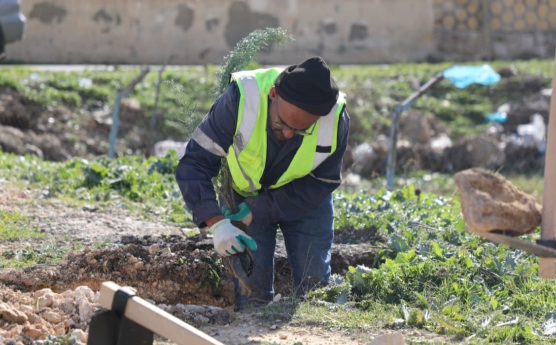 الإدارة المحلية توجّه البلديات لغرس 250 ألف شجرة