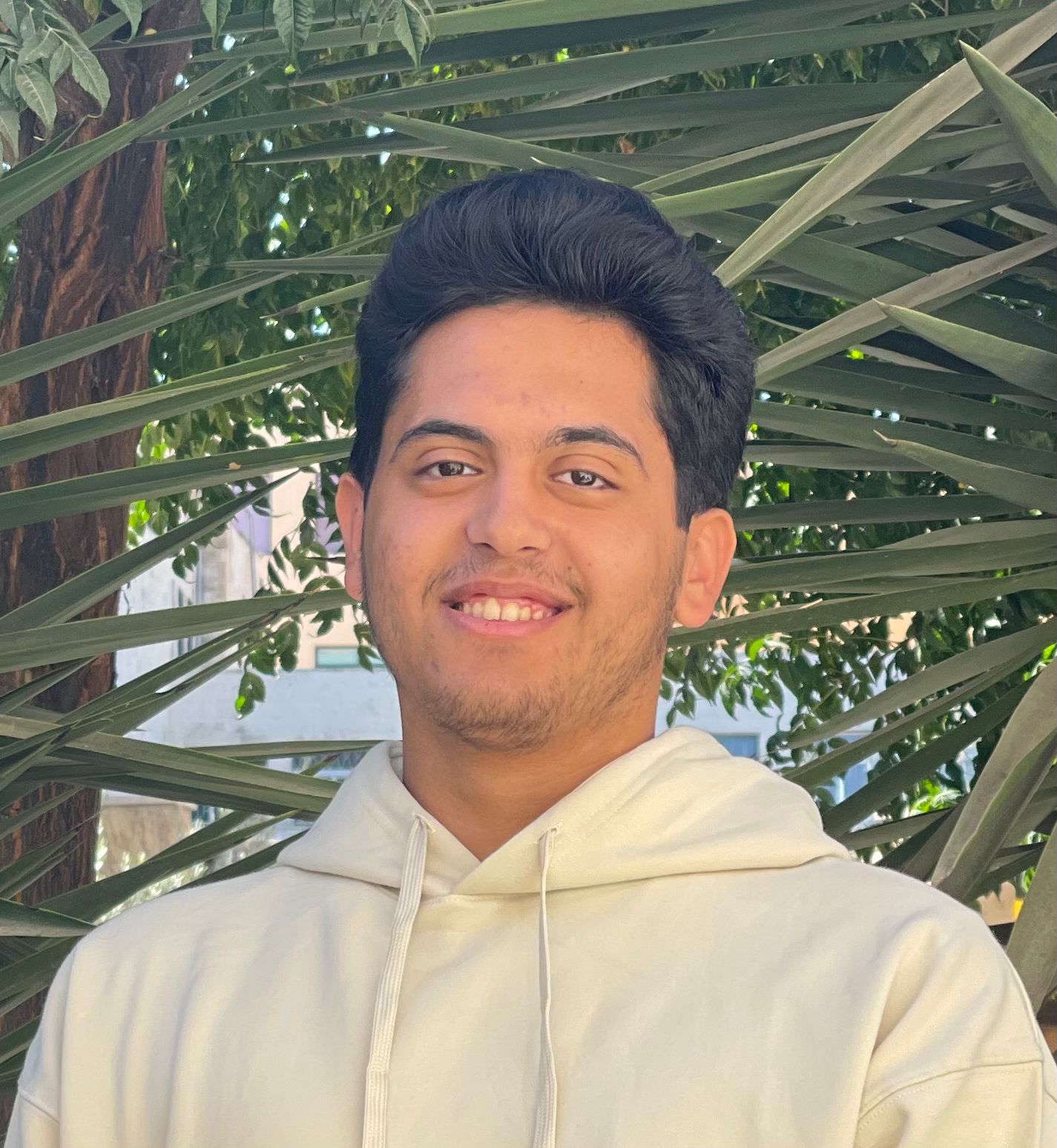 محمد الأحمد