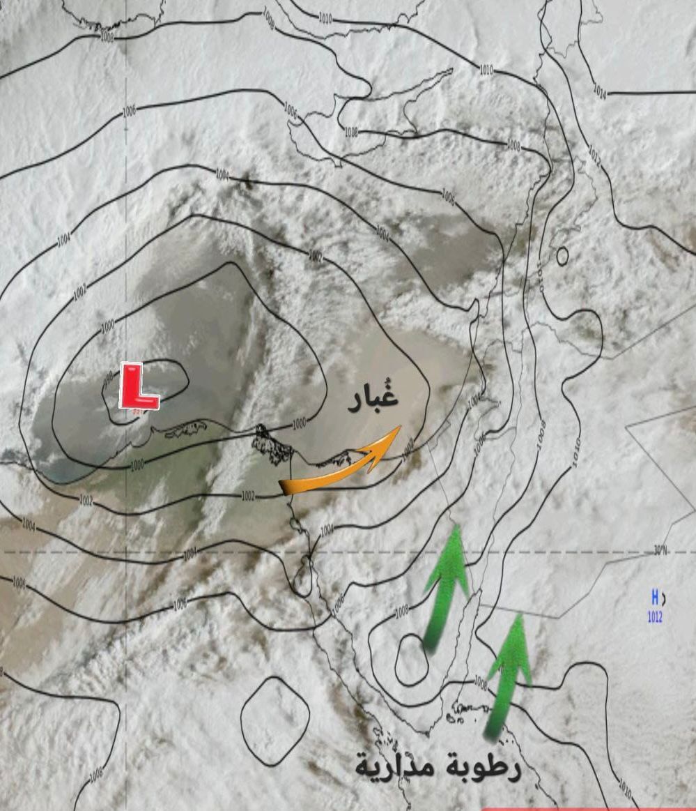 الطراونة: الموجة الغبارية اثناء الصيام تؤثر على مرضى الحساسيّة والربو