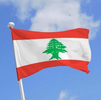 لبنان يشكو إسرائيل لمجلس الأمن لانتهاكها أجواءه