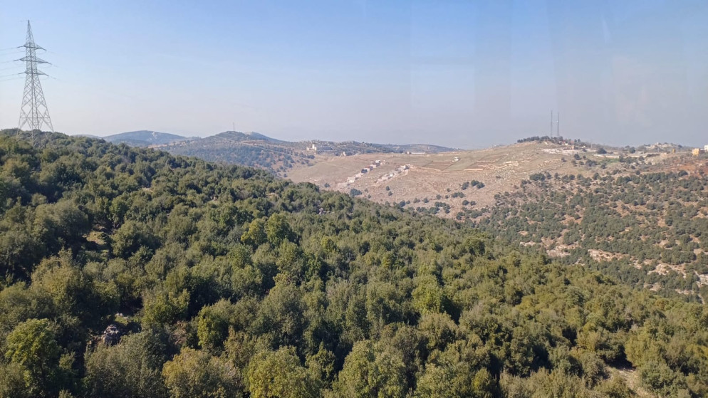 دعوات لتعزيز الوعي المجتمعي لحماية الثروة الحرجية في عجلون