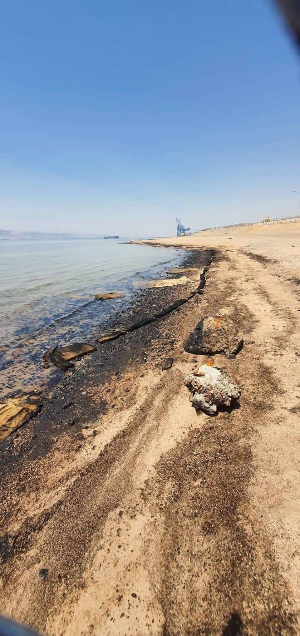 image.php?token=65b6750cbda01da4c551623a6d919111&size=xlarge