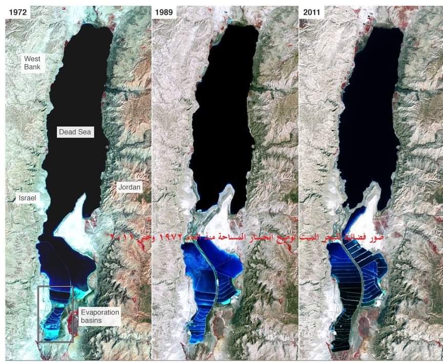 الجيولوجيون الأردنيون يدعون لوقفة دولية لانقاذ البحر الميت