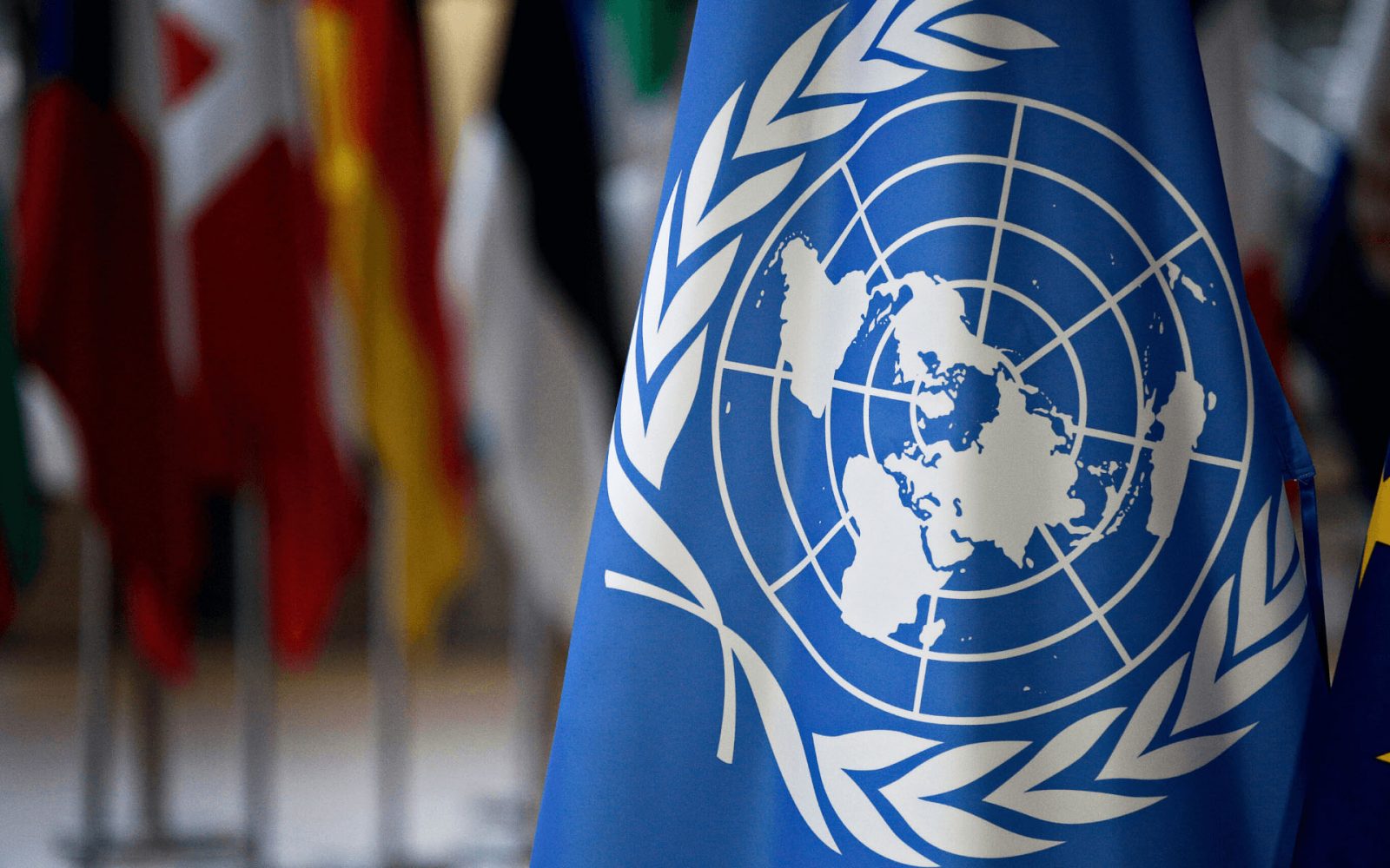 الأمم المتحدة تصدر قرارًا حول ادعاءات مشاركة موظفي اونروا بطوفان الأقصى 