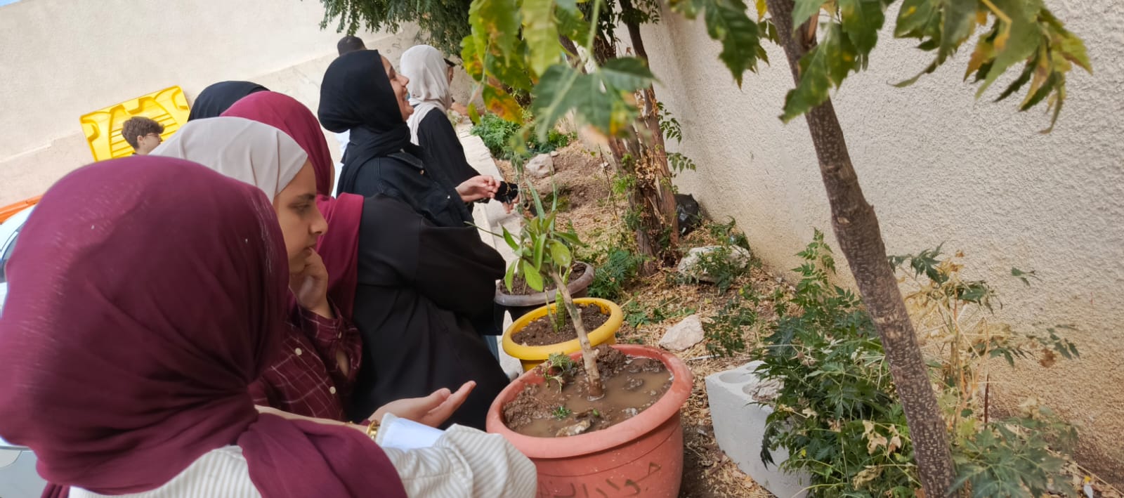 مركز شباب كفر الماء المدمج ينفذ مبادرة «اغرسها بنفسك»