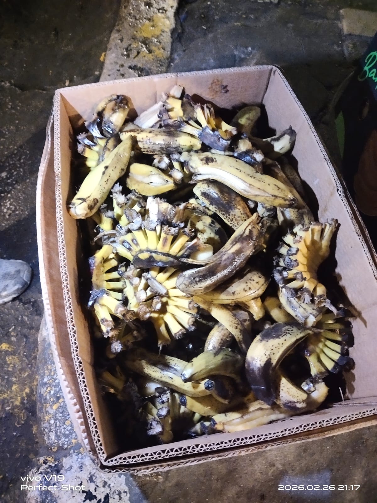 إتلاف 1188 كغم من الموز غير الصالح للاستهلاك في إربد 