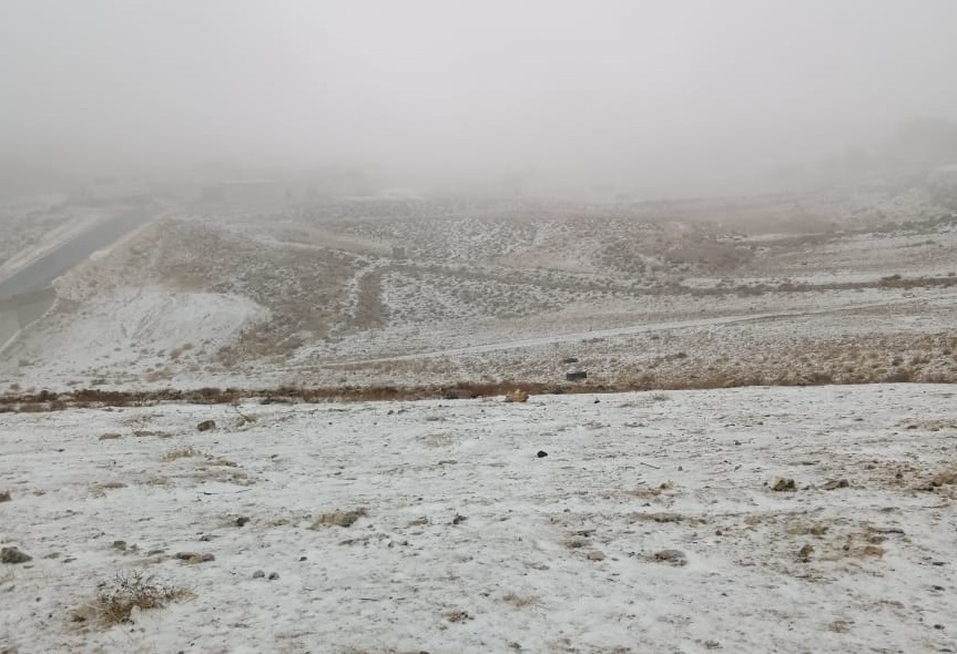 image.php?token=6afcce8810f4de681027e26e64597383&size=xlarge