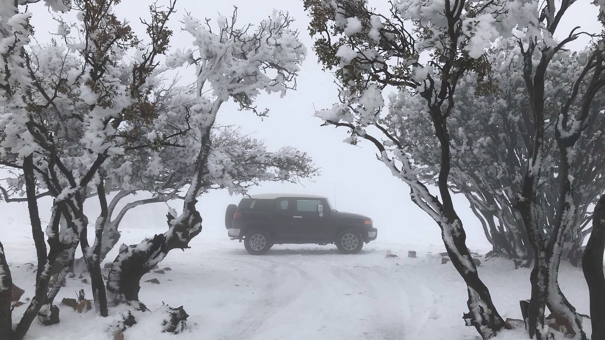 ثلوج فوق مرتفعات الجنوب الخميس