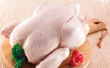 شكاوى من ارتفاع أسعار الدجاج ..  والصناعة والتجارة: أقل من العام الماضي