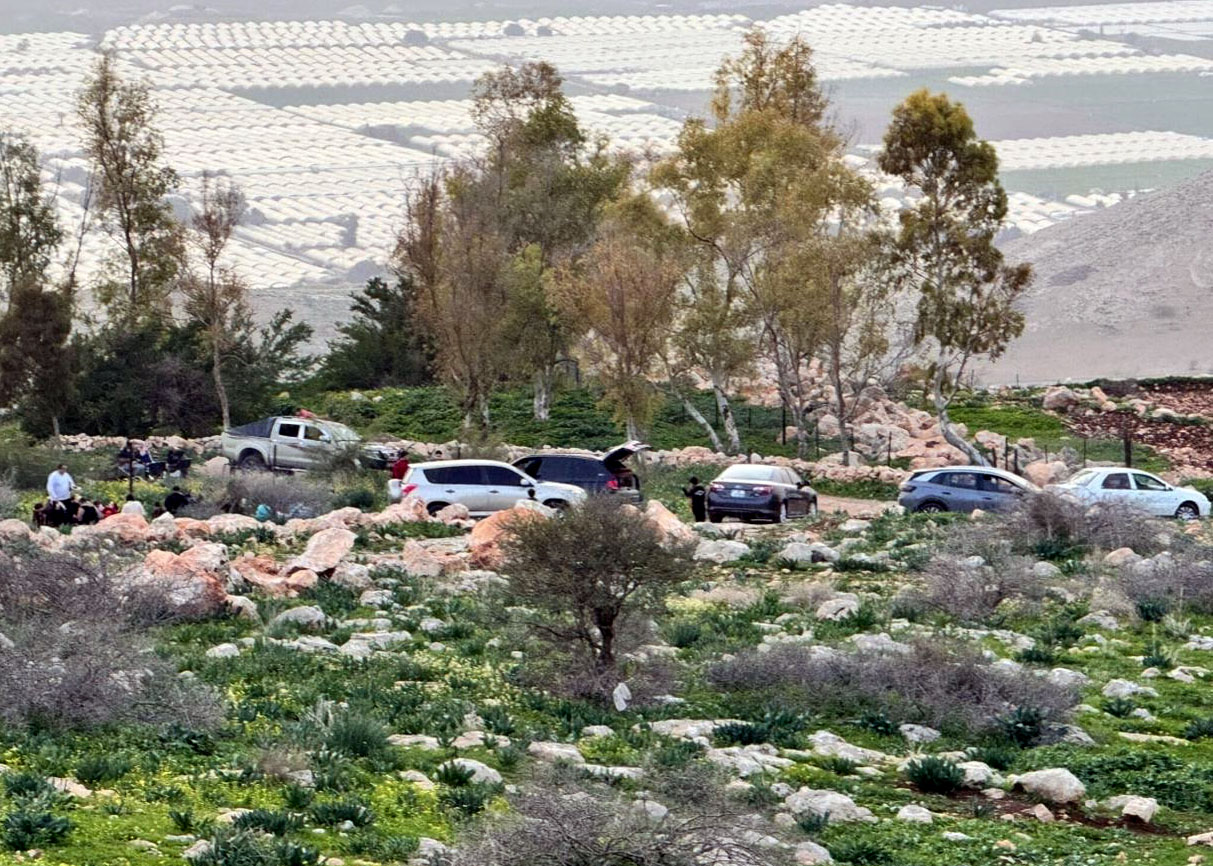 ربيع مبكر في عجلون يعزز الحركة السياحية