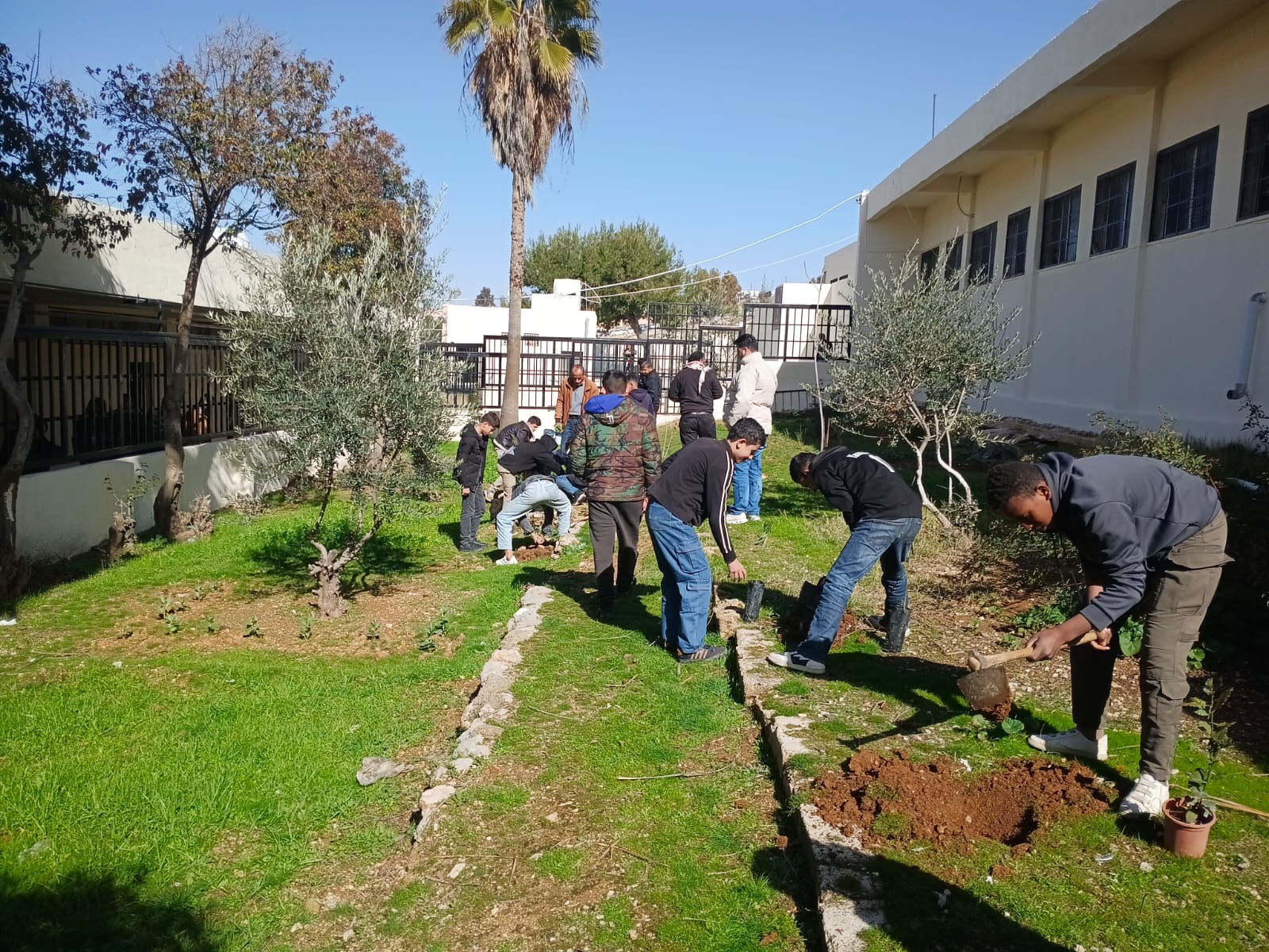 مركز شباب القويسمة يشارك في الحملة الوطنية للتشجير