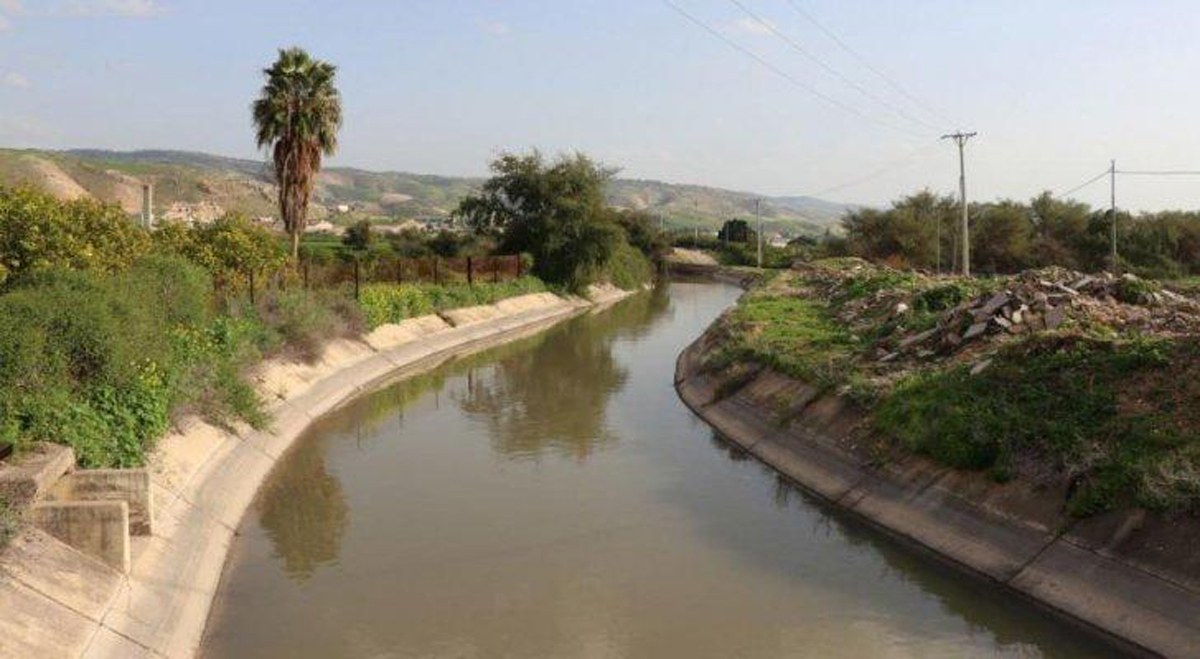 وفاة 3 أطفال غرقًا في الأغوار الشمالية 