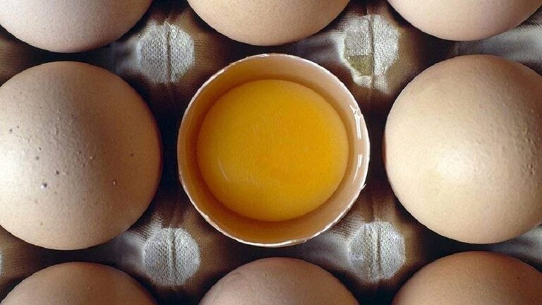 كم بيضة مسموح تناولها في اليوم؟