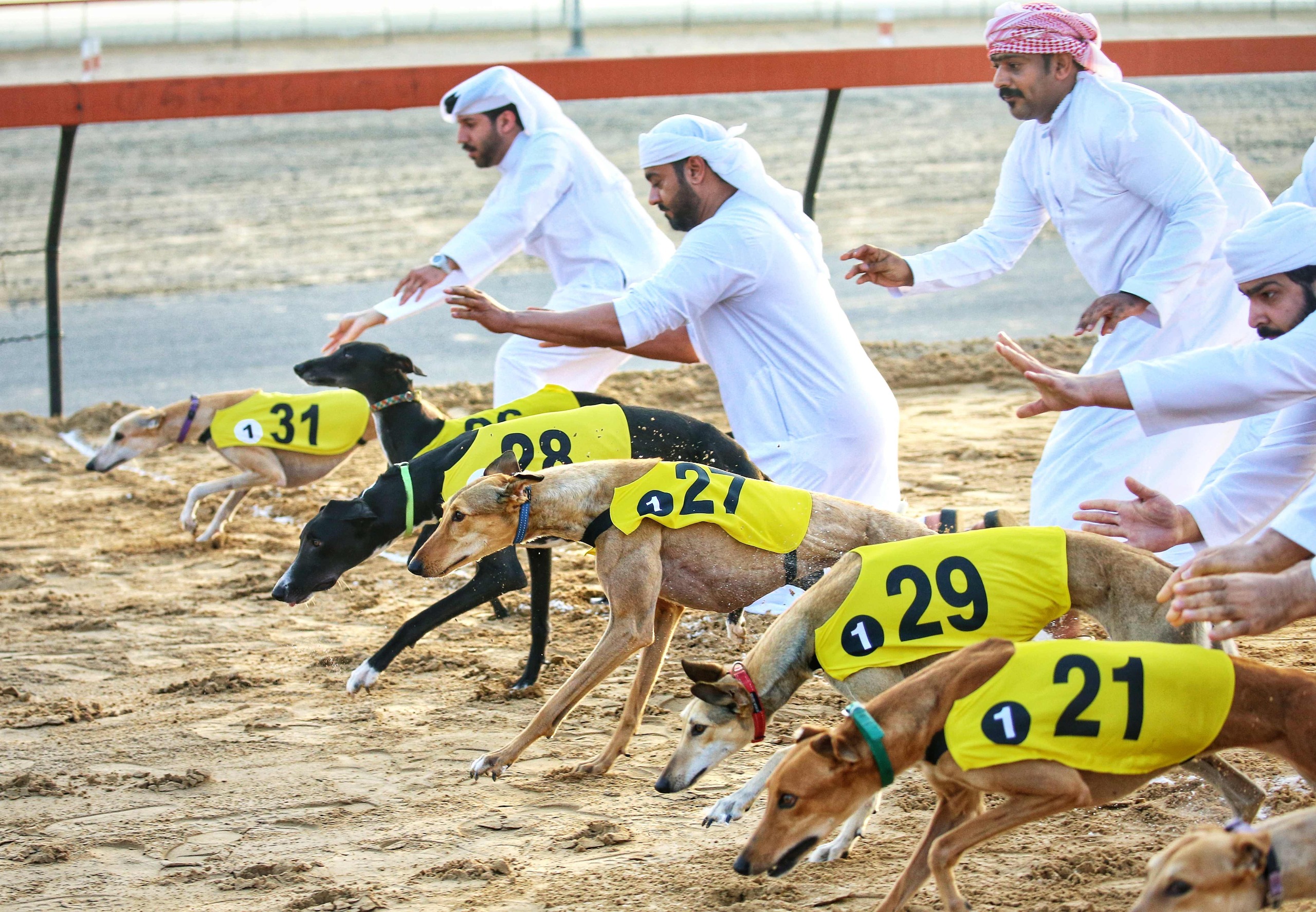 بطولة السلق تختتم تصفياتها وتعلن المتأهلين للنهائيات