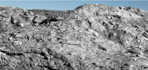 Characteristics of oil shale  Mix