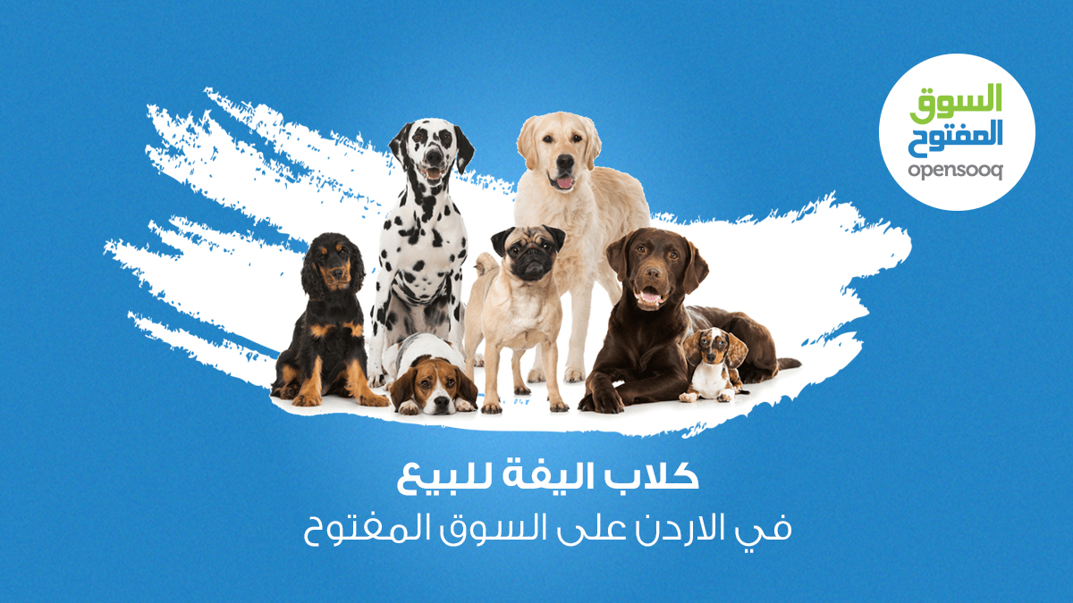 كلاب اليفة للبيع في الاردن على السوق المفتوح