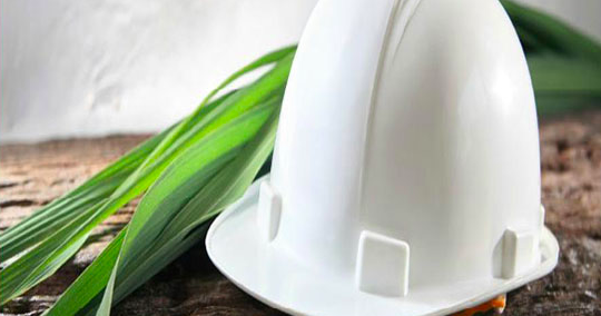 مطلوب مهندسات زراعيات تخصص تغذية وتصنيع غذائي