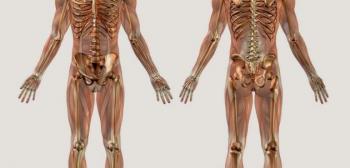 كم عدد الغدد في جسم الإنسان؟