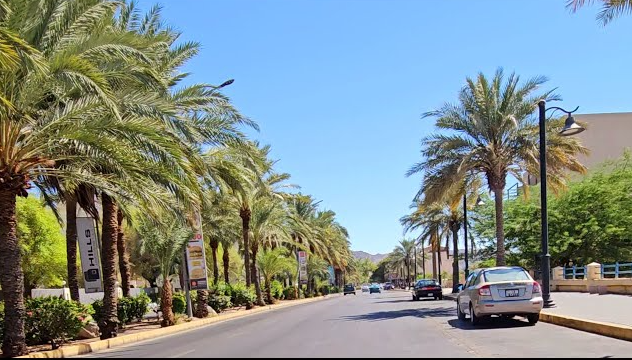 الفرجات: أزيلوا حالة التلوث المصري في وسط بلد العقبة 