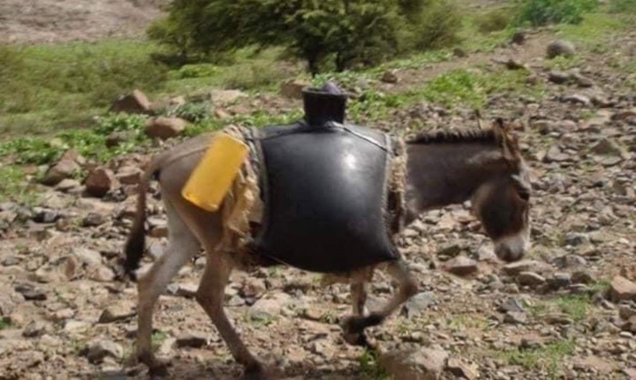 مواطنون يلجأون لنقل المياه والأعلاف على الدواب في الكرك