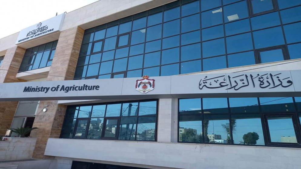وزارة الزراعة تبدأ باستقبال طلبات شهادات الإنتاج