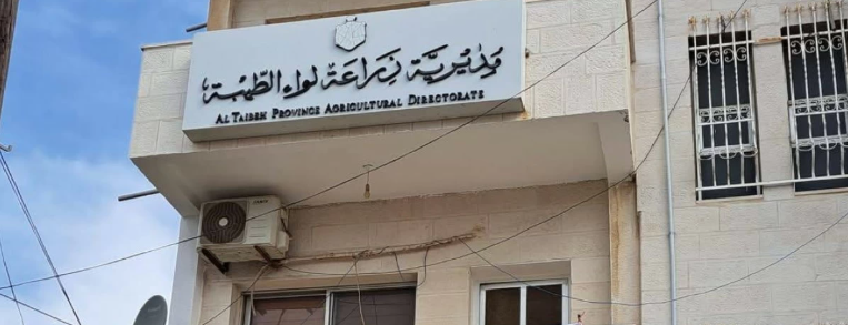 زراعة الطيبة تدعو مزارعي العنب لاتباع الإرشادات خلال مرحلة نضج الثمار