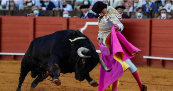 إسبانيا تلغي جائزة سنوية لمصارعة الثيران 