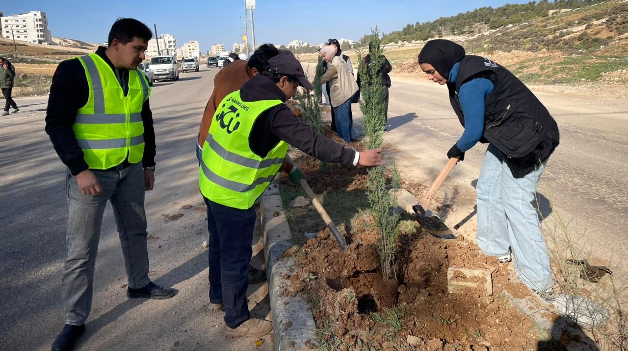 الإدارة المحلية تغرس 4500 شجرة في ناعور