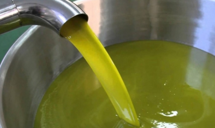 الاحصاءات: انخفاض كمية إنتاج زيت الزيتون بنسبة 34%