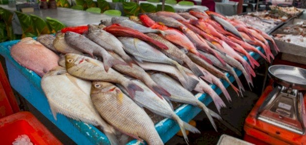 170 ألف دينار دعم حكومي لتجهيز سوق السمك المركزي 