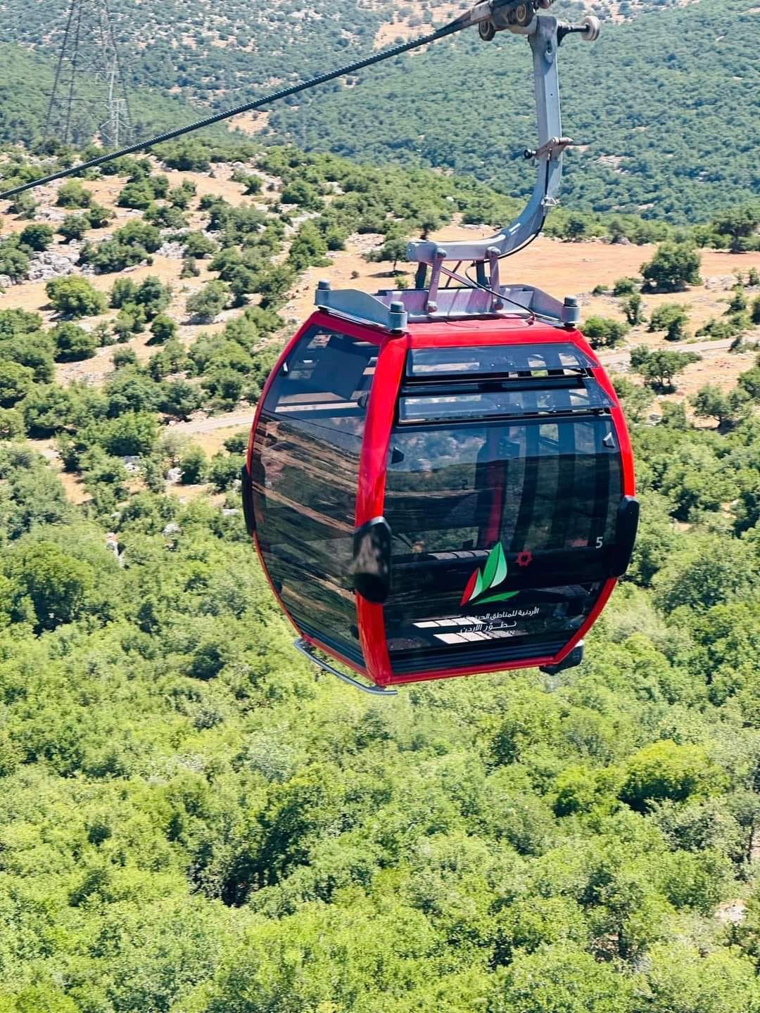 تلفريك عجلون نافذة تسويقية تعزز حضور المشاريع الصغيرة