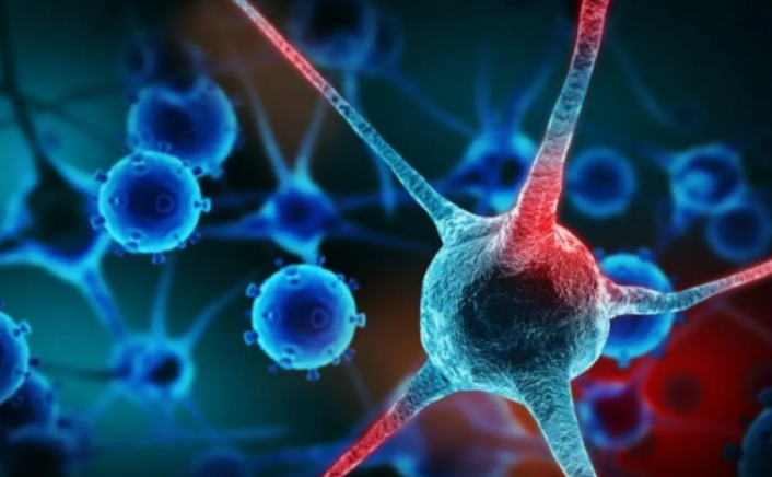 العلم يؤكد: الزواج يقلص خطر الإصابة بالسرطان بشكل ملحوظ