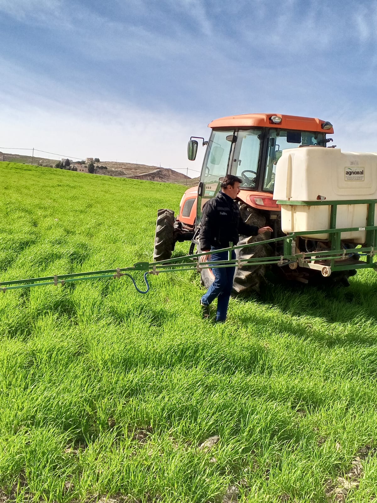 زراعة إربد تواصل حملة مكافحة دودة الزرع لحماية المحاصيل الزراعية