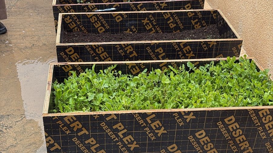 إطلاق مبادرة زراعية مبتكرة لاستغلال أسطح المباني في المفرق