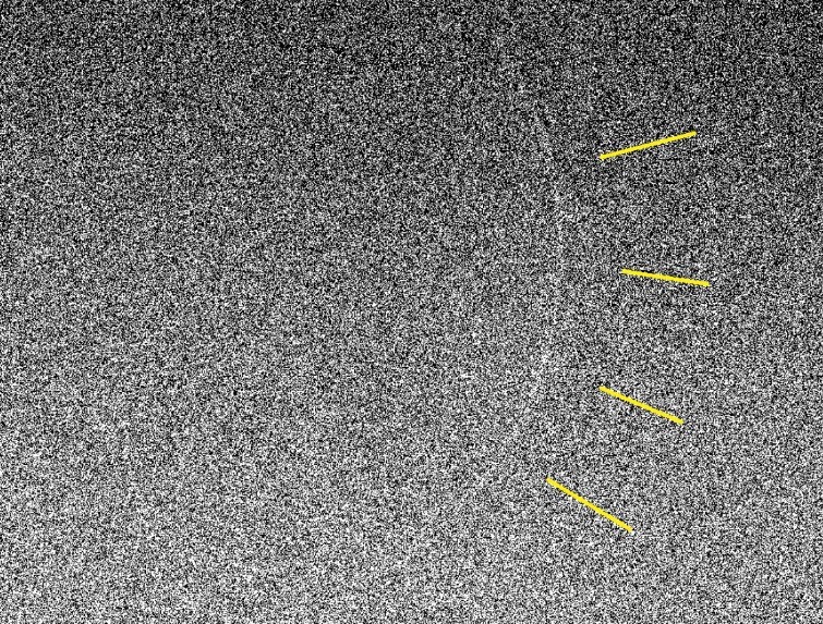 الفلك الدولي ينشر صور هلال رمضان الأربعاء من الأردن ودول عربية