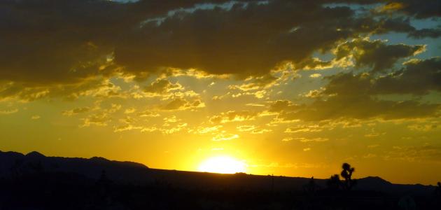 Sunlight |  Miscellaneous |  Ammon News Agency