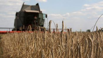 بريطانيا تدعو روسيا للسماح بتصدير الحبوب الأوكرانية