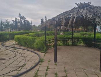 بلدية معدي تنفذ أعمال بناء وزراعة في حديقة المصالحة بداميا