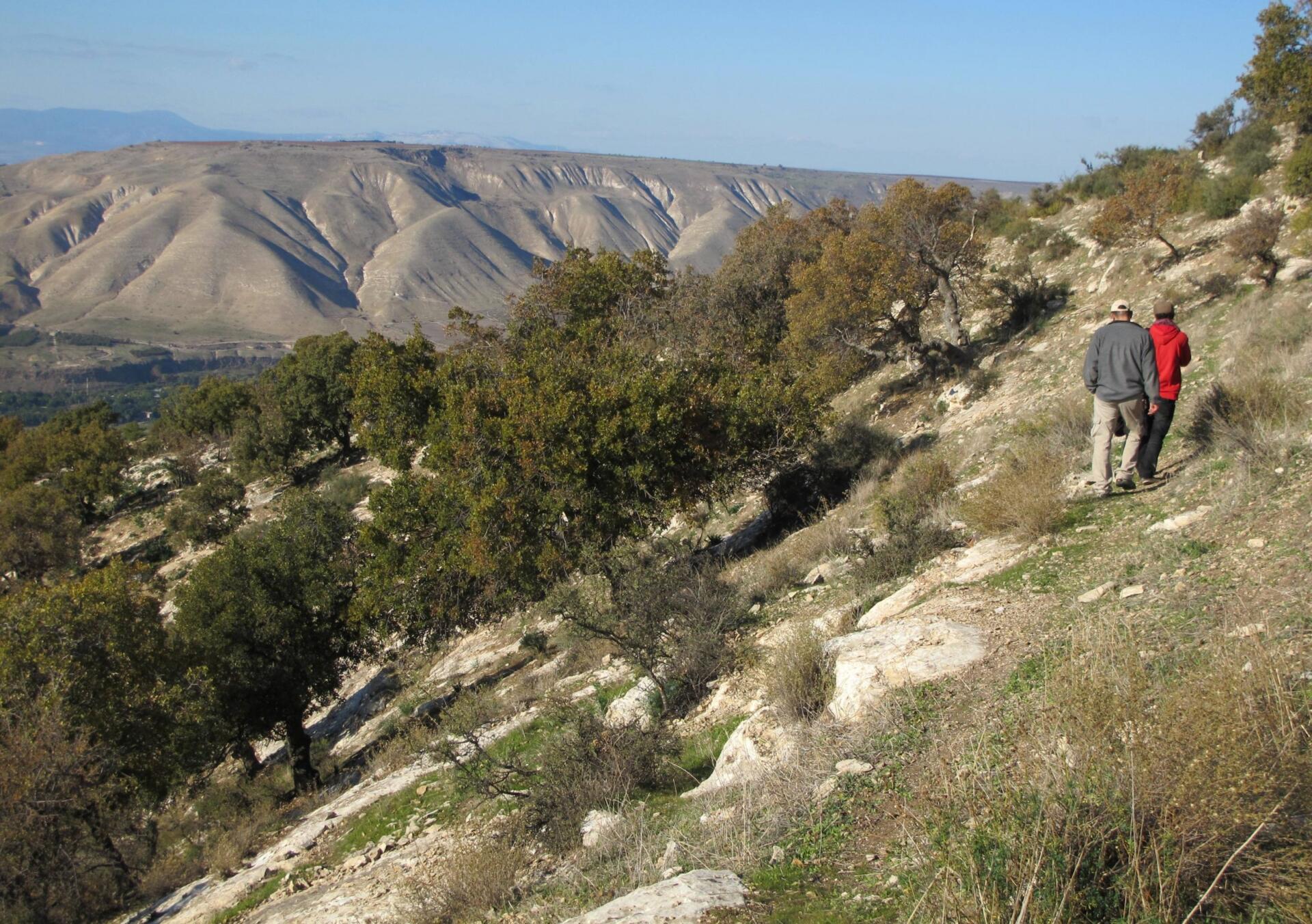 ارتفاع مساحة المحميات الطبيعية في الأردن 2.3%