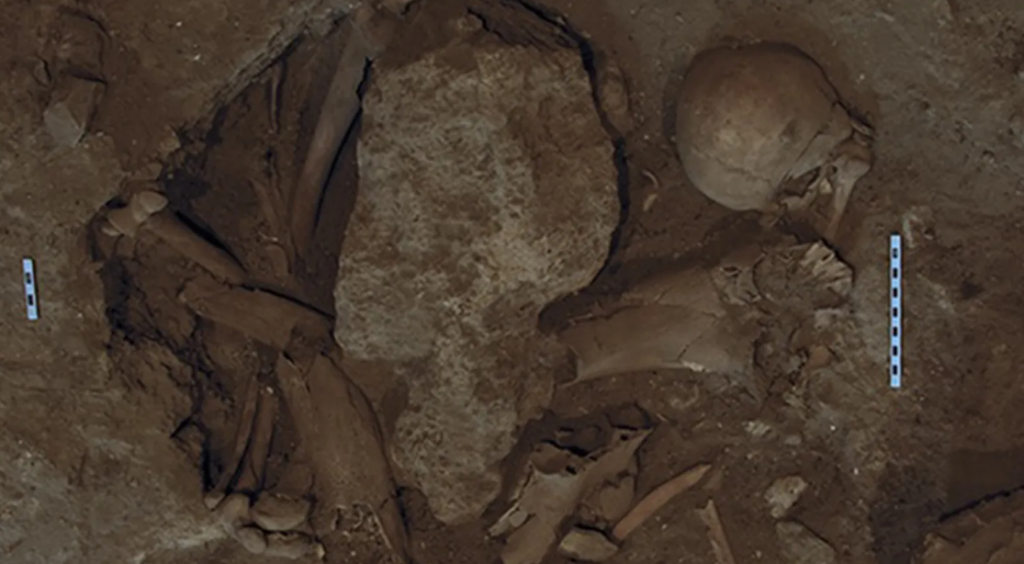 الأمن: العثور على عظام بشرية داخل مغارة في الكرك