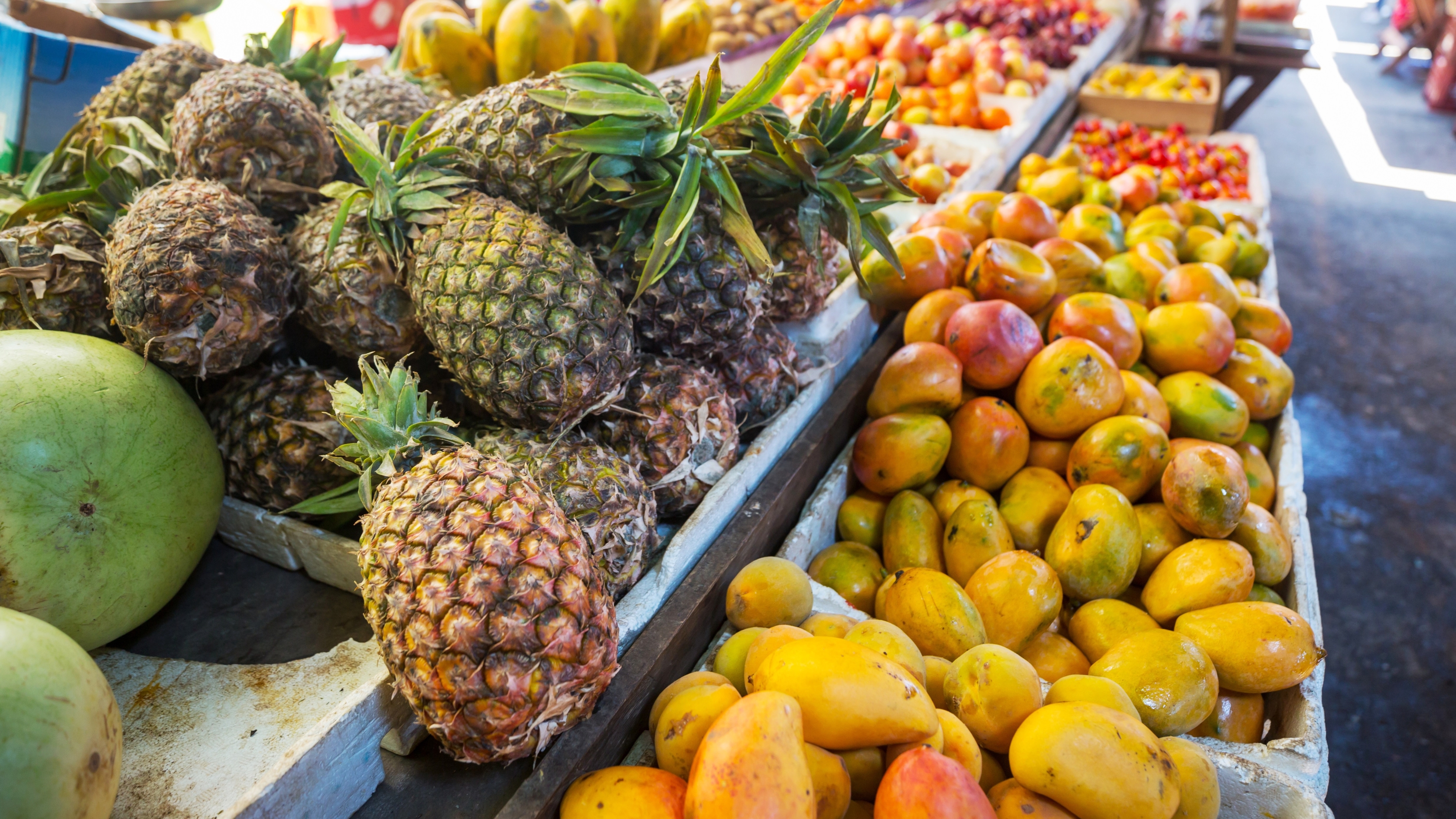 اسعار الخضار والفواكه في السوق المركزي السبت 