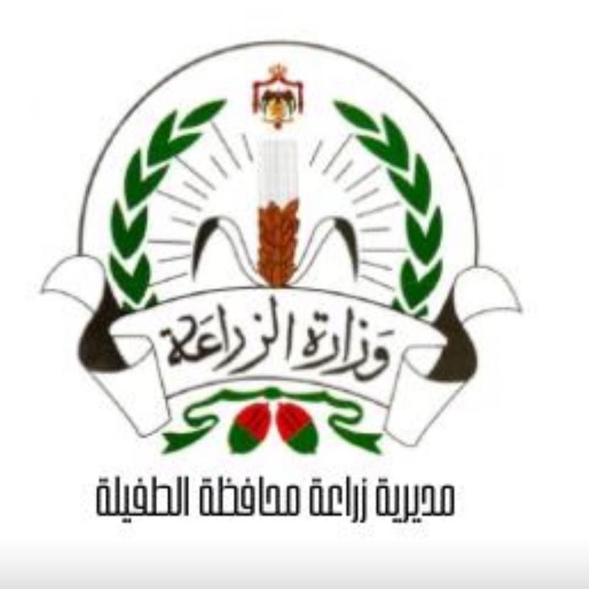 زراعة الطفيلة تدعو مزارعي القمح والشعير للحصول على شهادات المنشأ 