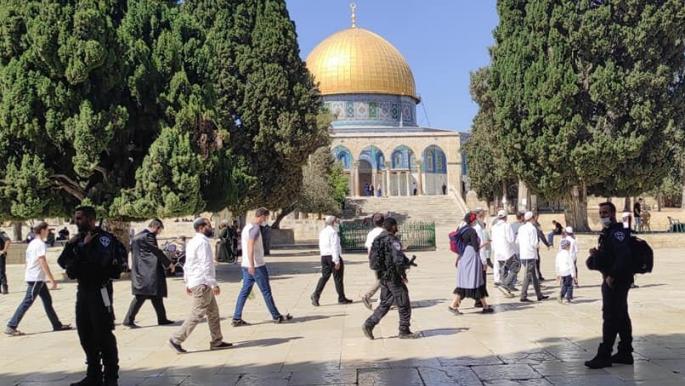 أكثر من ألف مستوطن يقتحمون الأقصى في سادس أيام عيد العرش اليهودي
