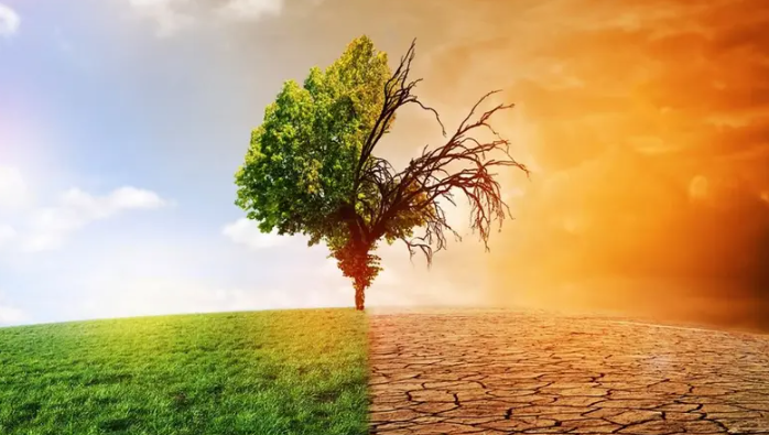 موجة حر دائمة خطيرة على البشر ..  والخبراء: الأرض تتحول لبيت زجاجي ساخن 