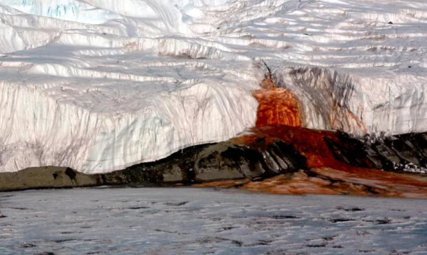 بعد 100 عام من الغموض ..  كشف السرّ الحقيقي لشلالات الدم في القطب الجنوبي 
